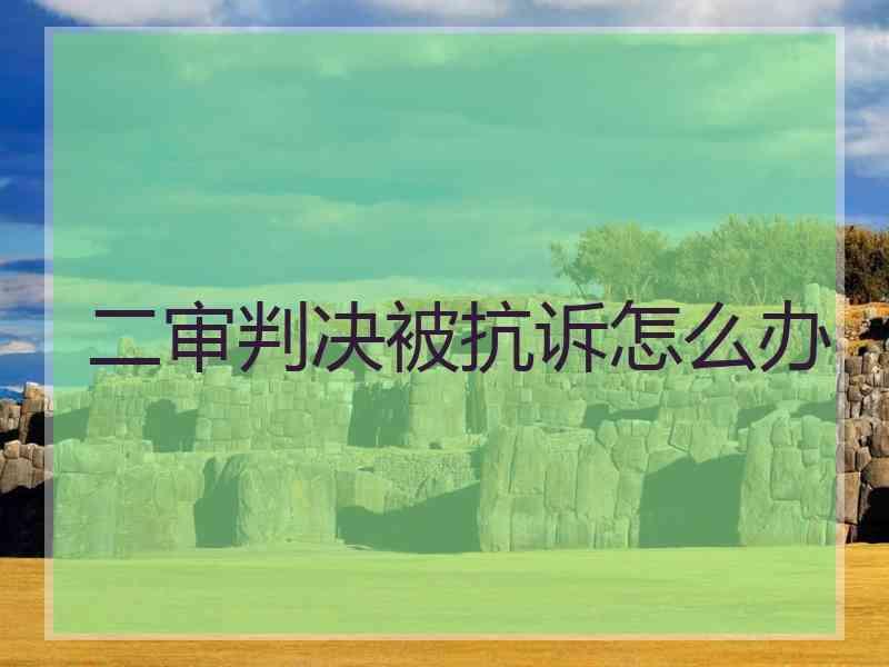 二审判决被抗诉怎么办