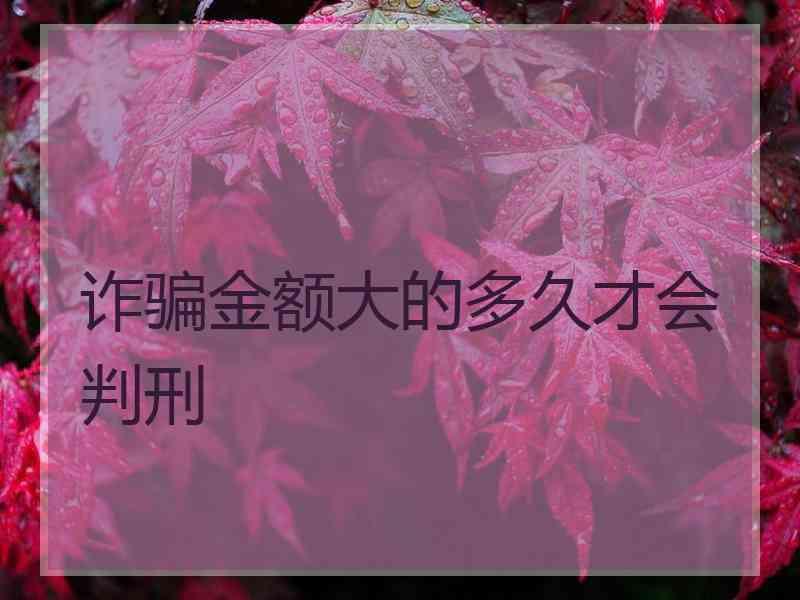 诈骗金额大的多久才会判刑