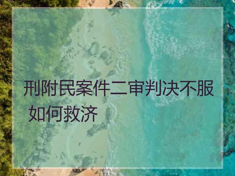 刑附民案件二审判决不服 如何救济