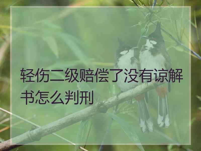 轻伤二级赔偿了没有谅解书怎么判刑