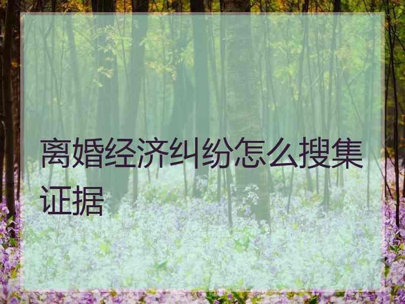 离婚经济纠纷怎么搜集证据