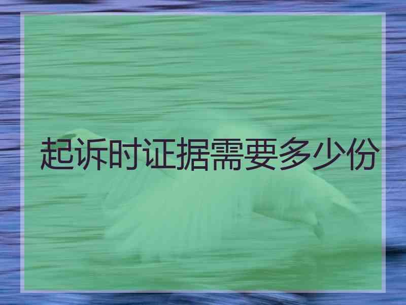 起诉时证据需要多少份