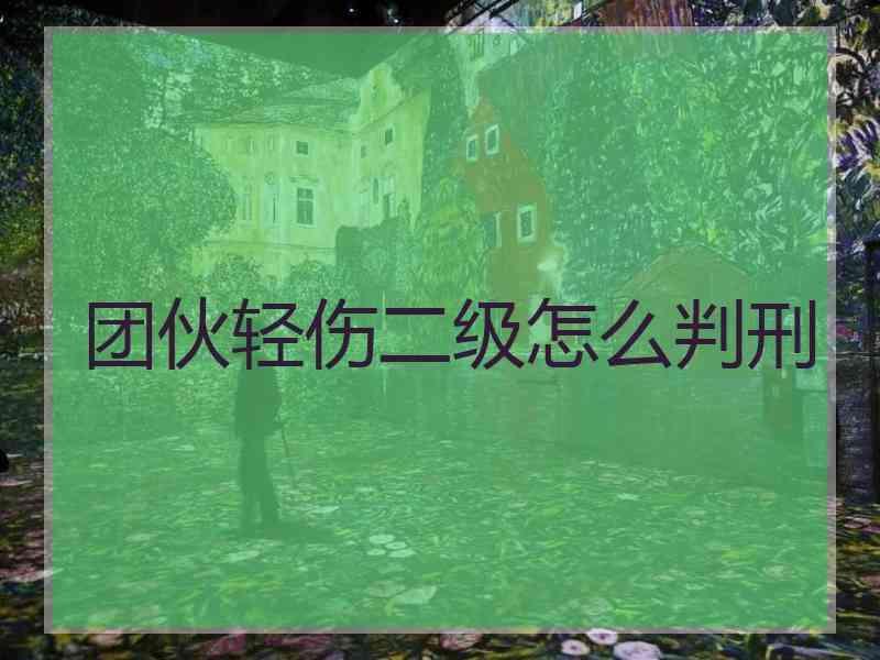 团伙轻伤二级怎么判刑