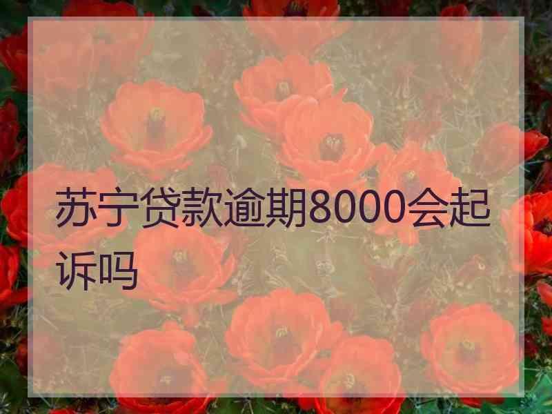 苏宁贷款逾期8000会起诉吗