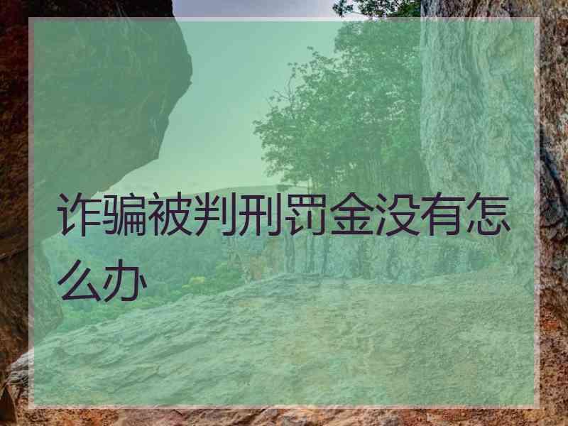 诈骗被判刑罚金没有怎么办