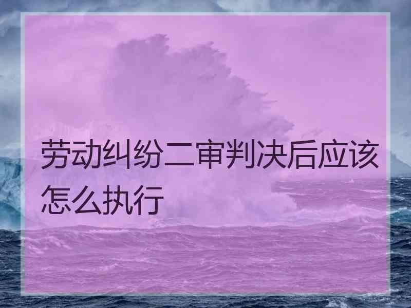 劳动纠纷二审判决后应该怎么执行