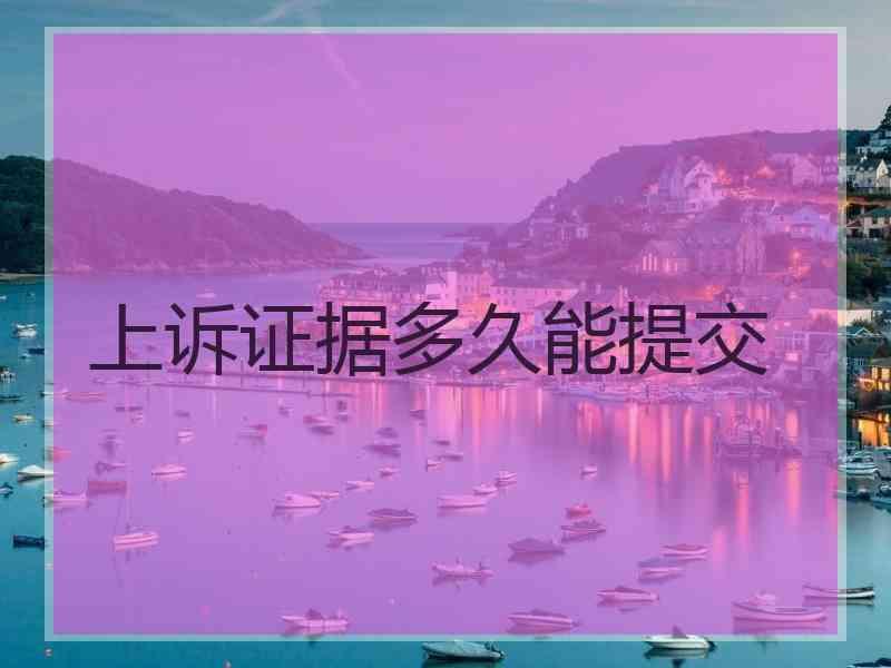 上诉证据多久能提交