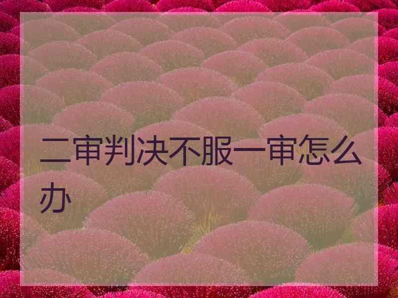 二审判决不服一审怎么办