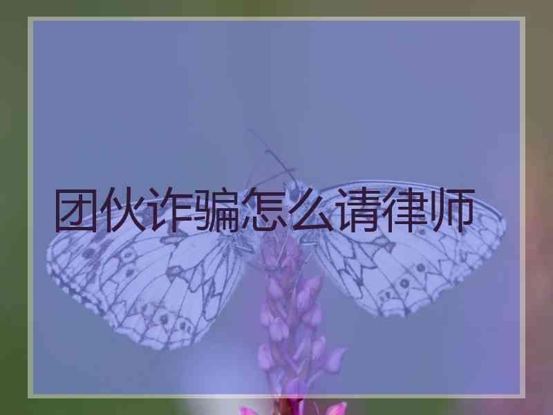 团伙诈骗怎么请律师