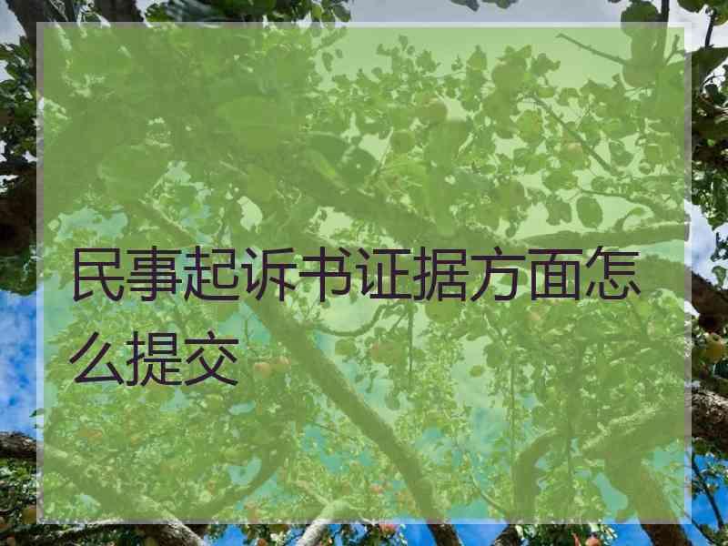 民事起诉书证据方面怎么提交