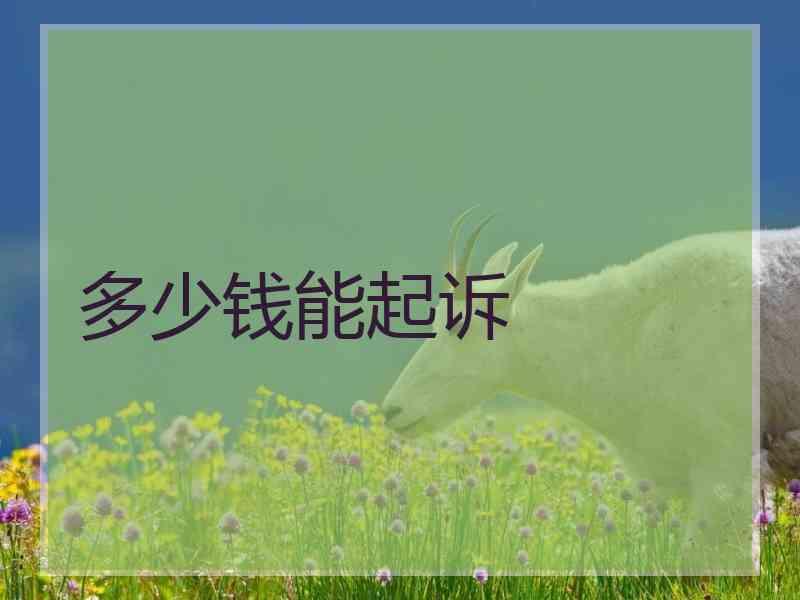 多少钱能起诉
