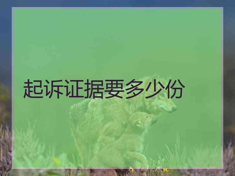 起诉证据要多少份