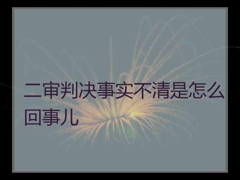 二审判决事实不清是怎么回事儿