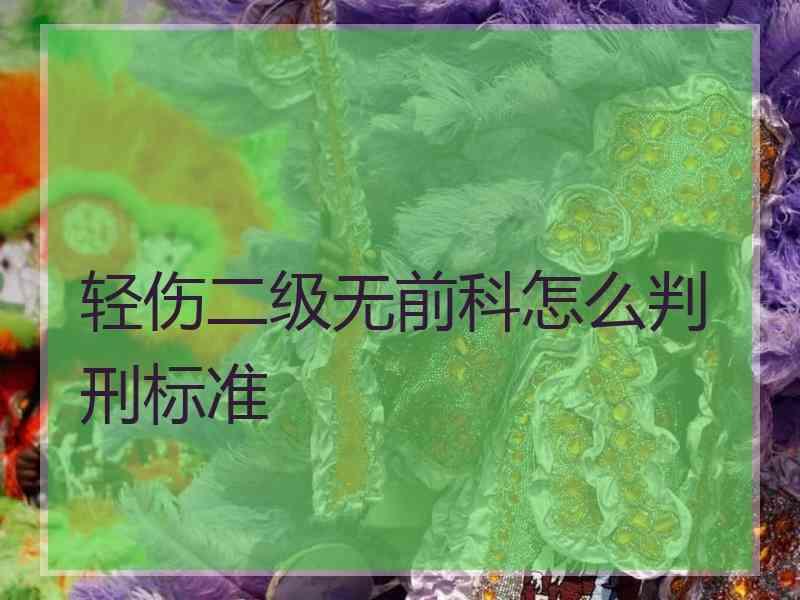 轻伤二级无前科怎么判刑标准