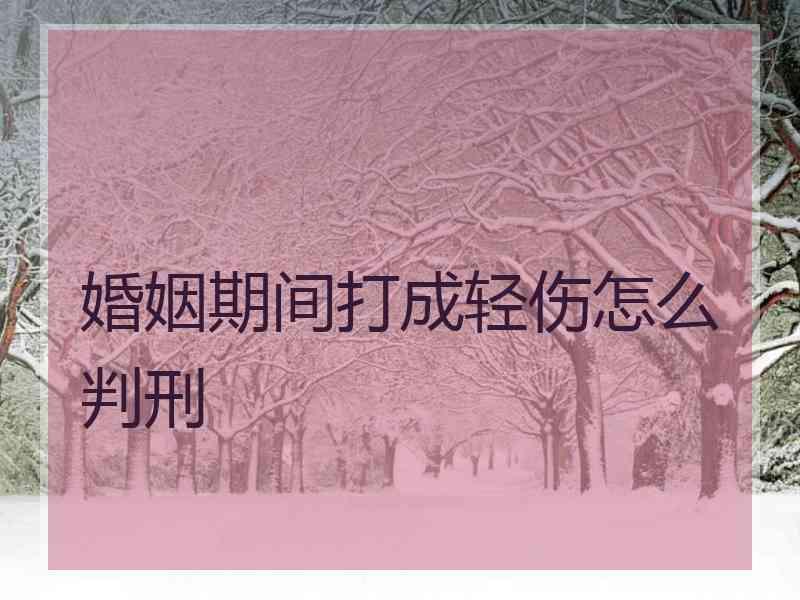 婚姻期间打成轻伤怎么判刑