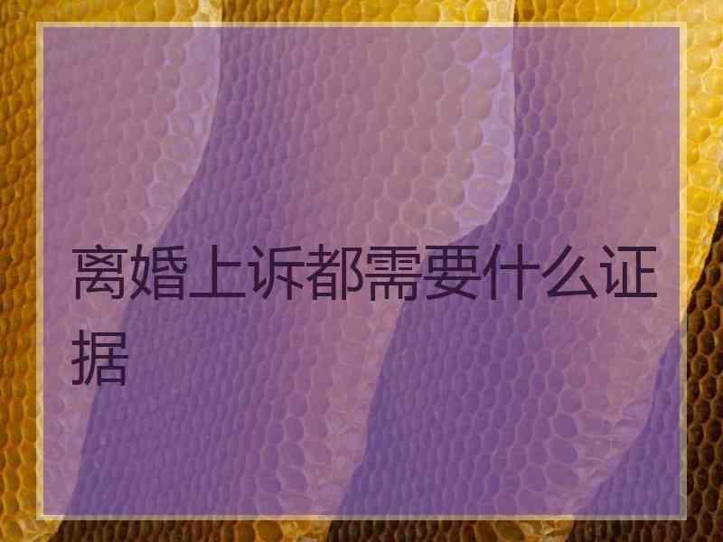 离婚上诉都需要什么证据