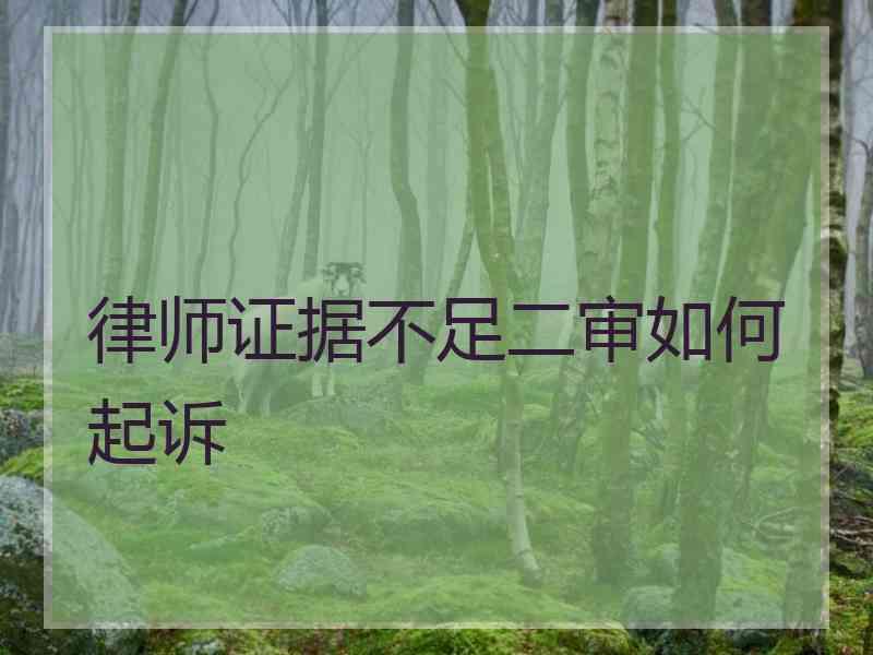 律师证据不足二审如何起诉