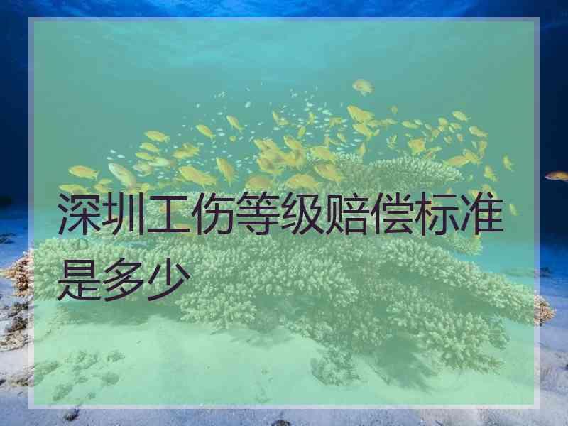 深圳工伤等级赔偿标准是多少