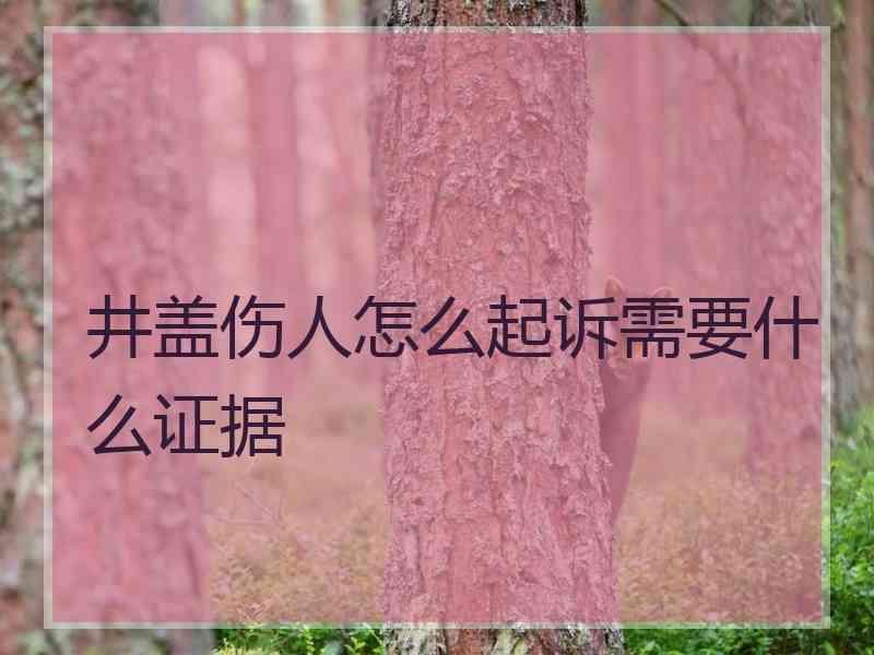 井盖伤人怎么起诉需要什么证据