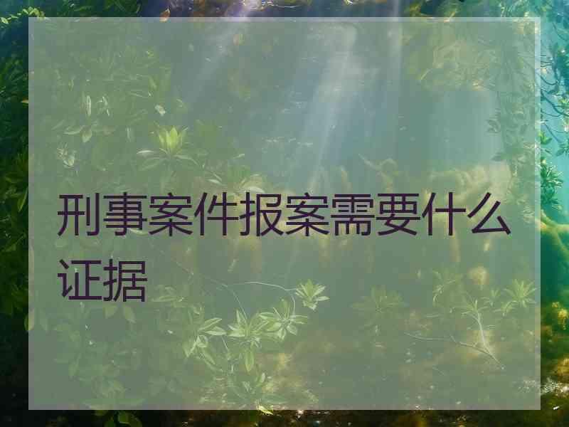 刑事案件报案需要什么证据