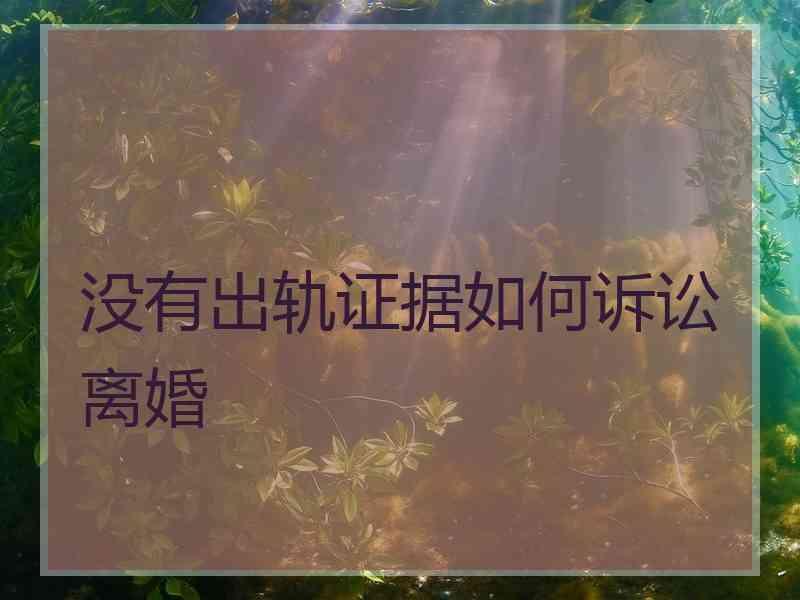 没有出轨证据如何诉讼离婚