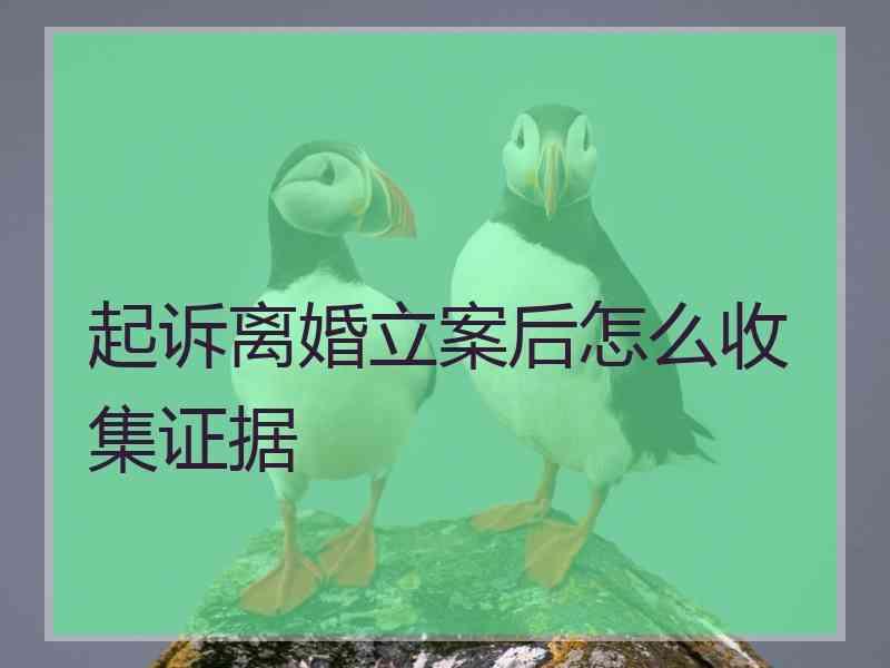 起诉离婚立案后怎么收集证据