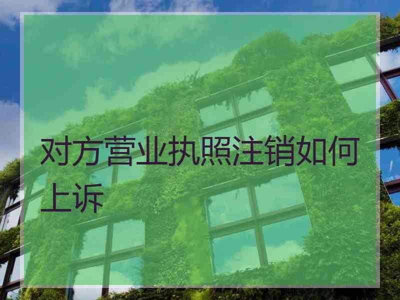 对方营业执照注销如何上诉