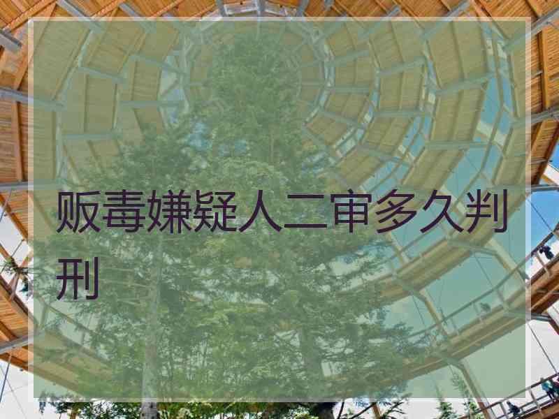 贩毒嫌疑人二审多久判刑