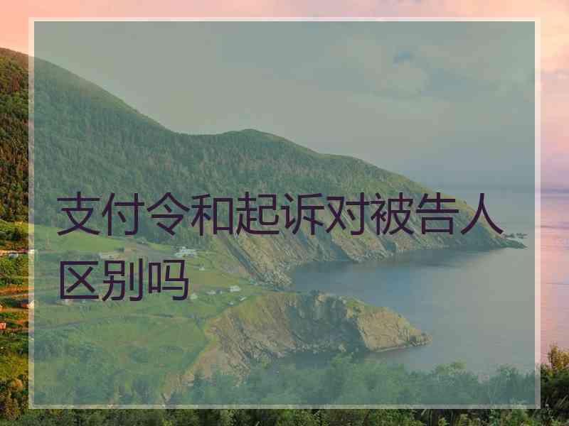 支付令和起诉对被告人区别吗