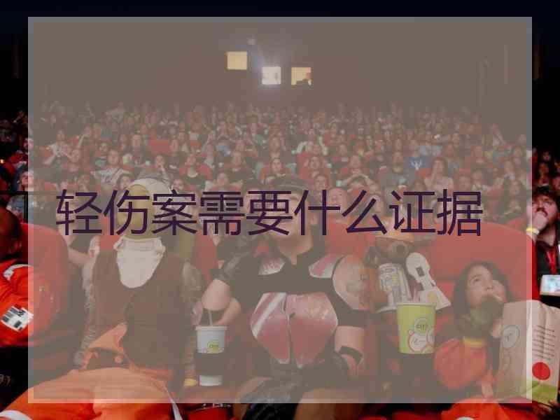 轻伤案需要什么证据
