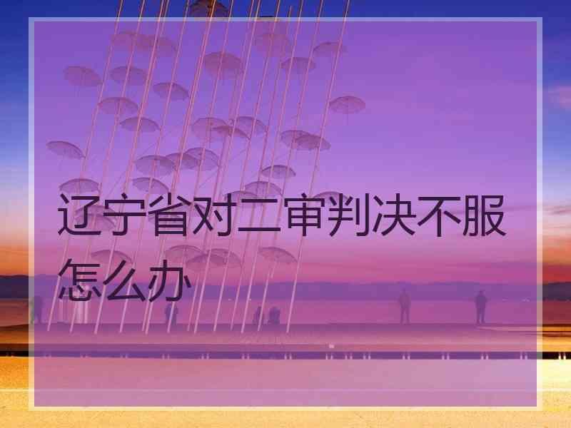 辽宁省对二审判决不服怎么办