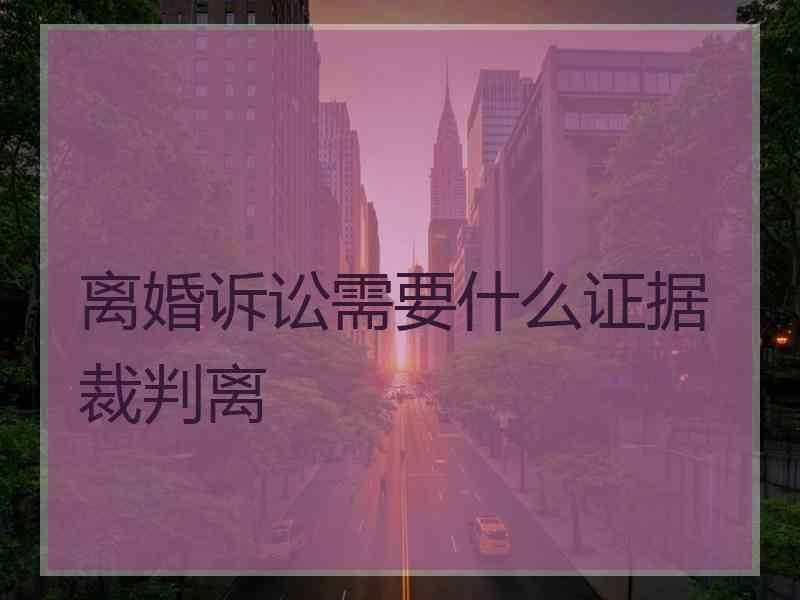 离婚诉讼需要什么证据裁判离