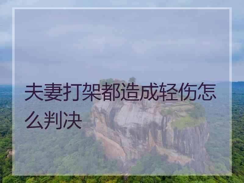 夫妻打架都造成轻伤怎么判决
