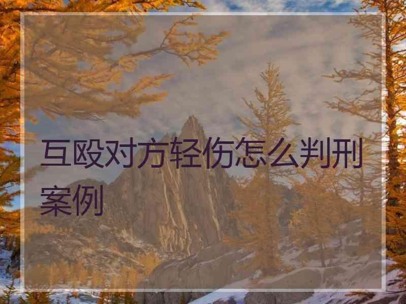 互殴对方轻伤怎么判刑案例