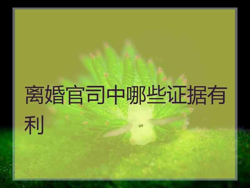 离婚官司中哪些证据有利