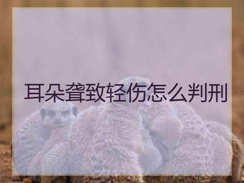 耳朵聋致轻伤怎么判刑