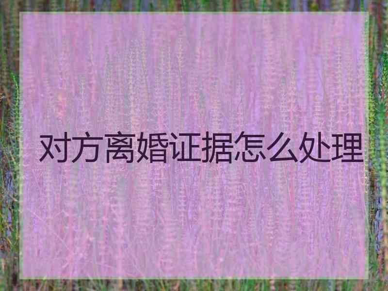 对方离婚证据怎么处理