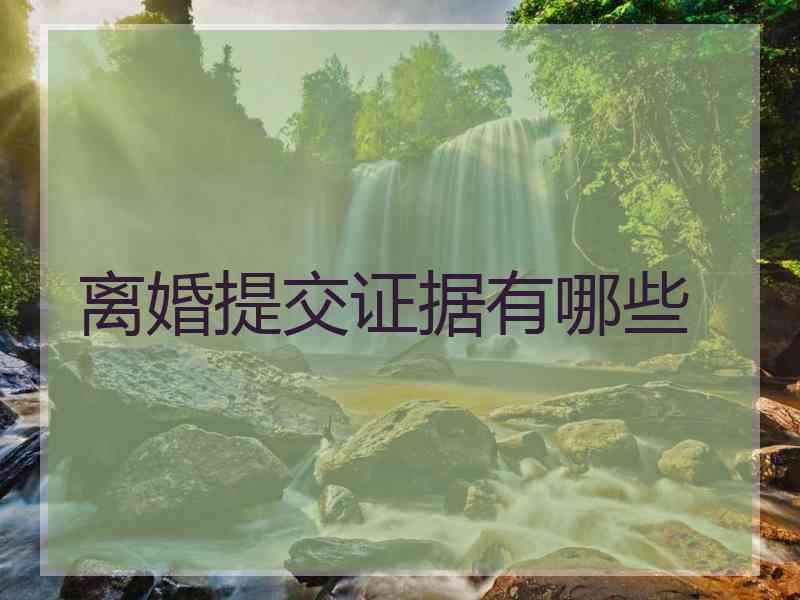 离婚提交证据有哪些