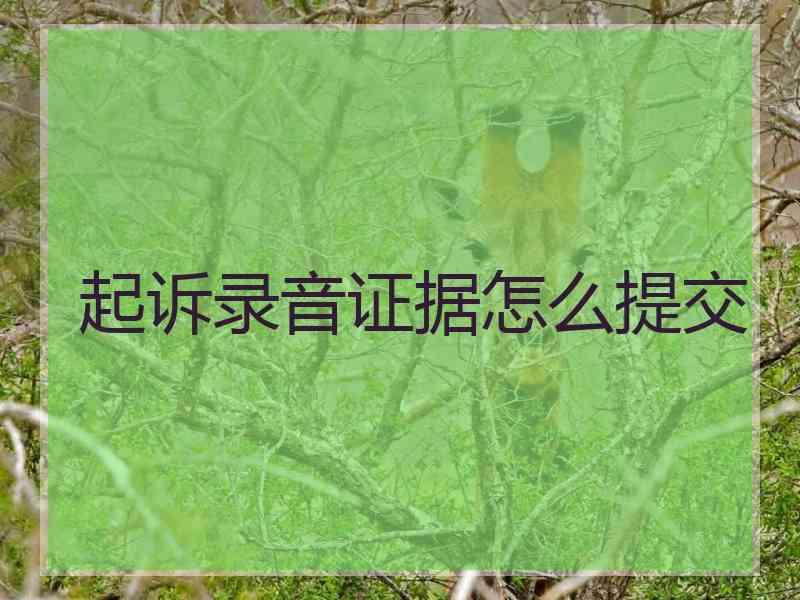 起诉录音证据怎么提交