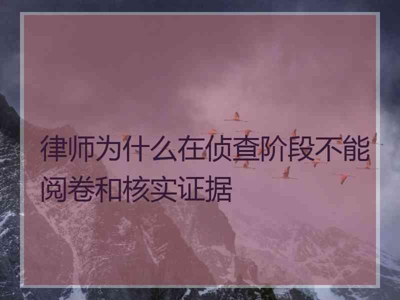 律师为什么在侦查阶段不能阅卷和核实证据