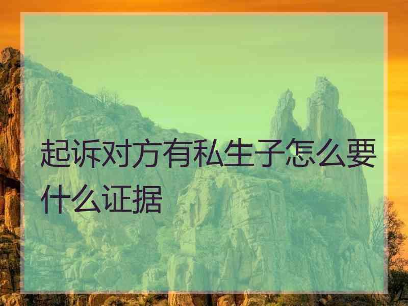 起诉对方有私生子怎么要什么证据