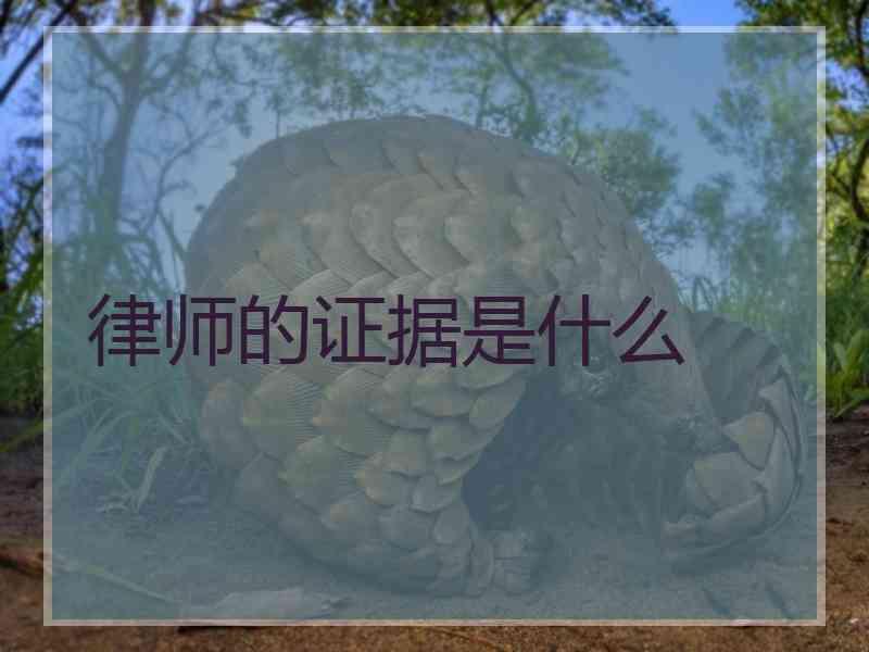 律师的证据是什么
