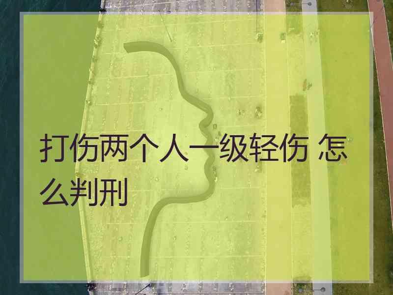 打伤两个人一级轻伤 怎么判刑