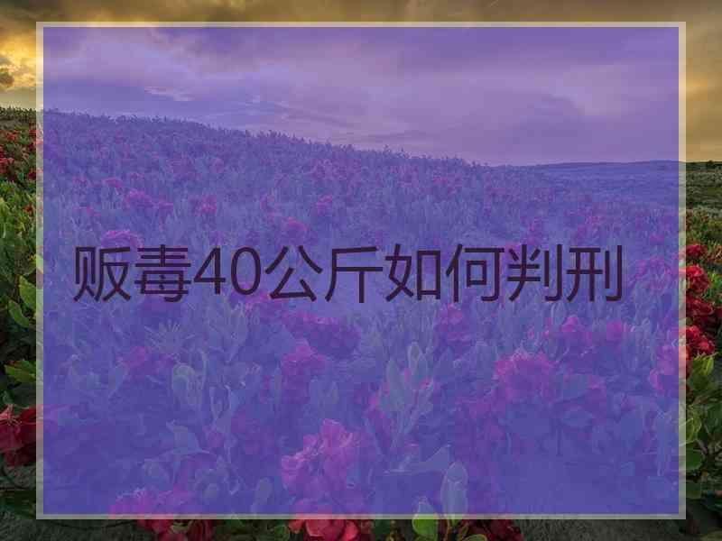 贩毒40公斤如何判刑