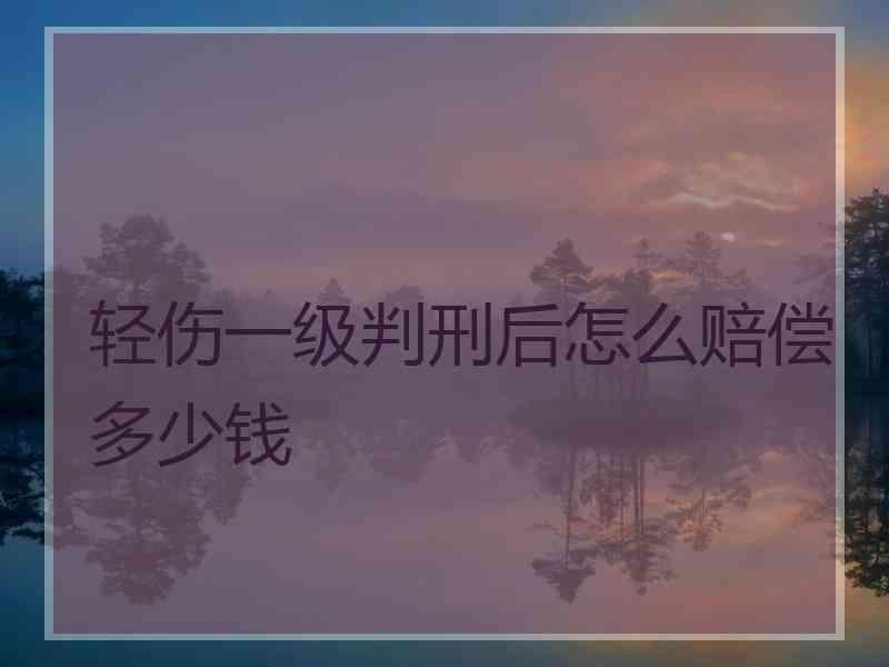 轻伤一级判刑后怎么赔偿多少钱