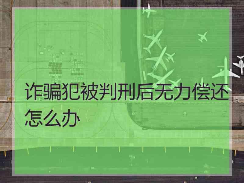 诈骗犯被判刑后无力偿还怎么办