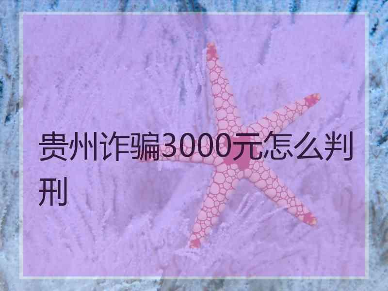 贵州诈骗3000元怎么判刑