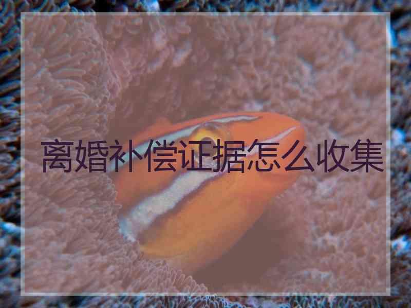 离婚补偿证据怎么收集