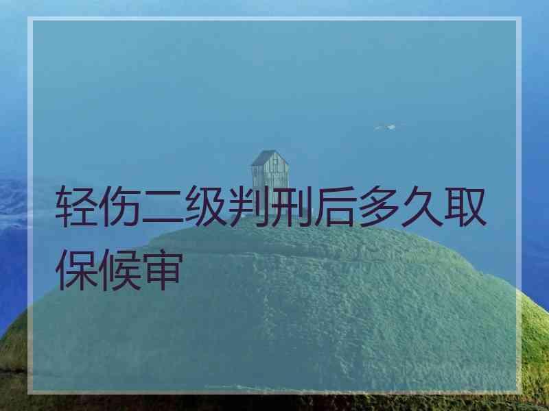 轻伤二级判刑后多久取保候审