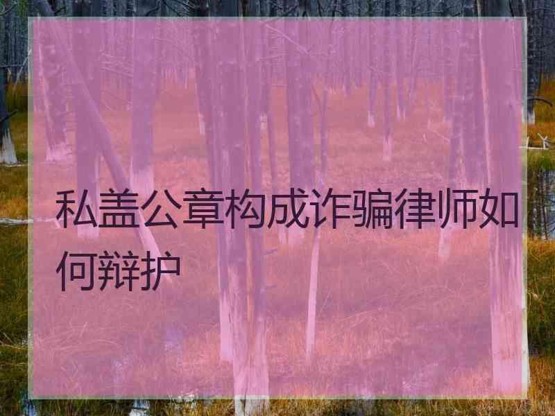 私盖公章构成诈骗律师如何辩护